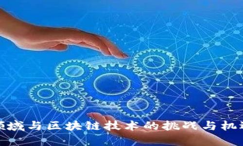 金融领域与区块链技术的挑战与机遇解析